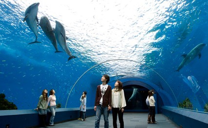 横滨八景岛海岛乐园