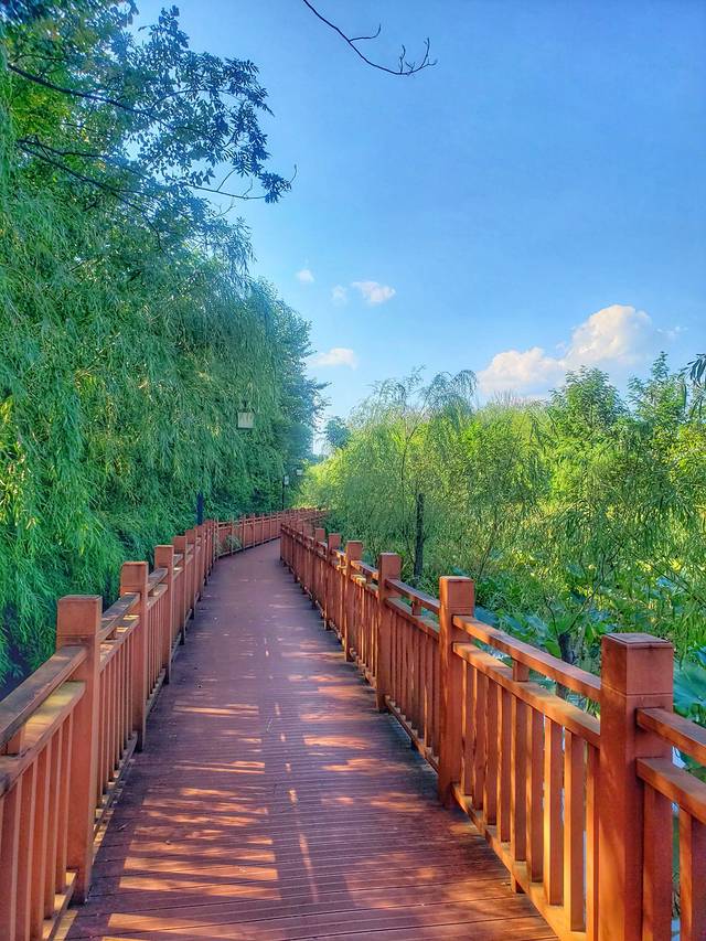 南河国家湿地公园