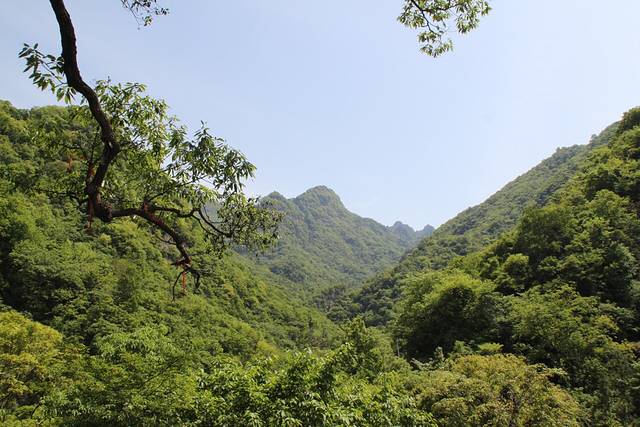 武当山南神道旅游区