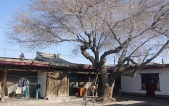 巴里坤哈萨克自治县古民宅旅游景点图片
