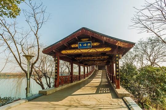 无锡长广溪国家湿地公园旅游景点图片