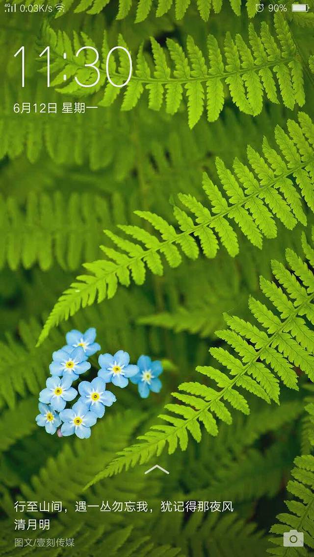 好利来(站前北街店)