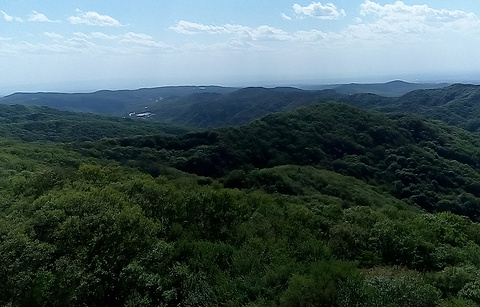 石门山国家森林公园的图片