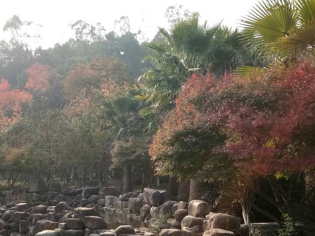 乔治白(东川街店)