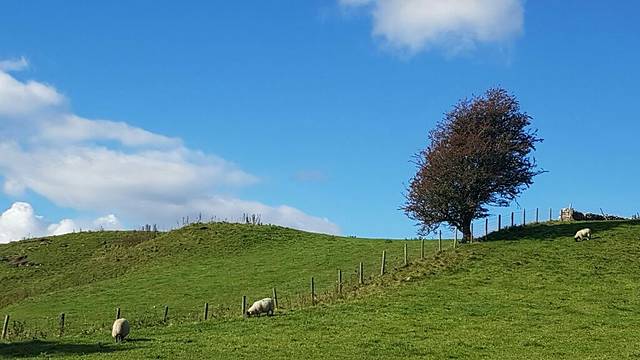 马勒姆和戈代利峡谷