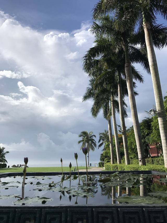 三亚海棠湾万丽度假酒店·鸿星荟西餐厅