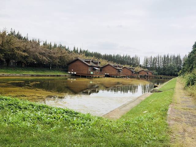 如皋金岛生态园