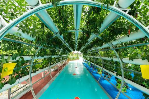 益阳现代农业示范园