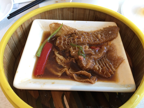 拉图摩根大酒店
