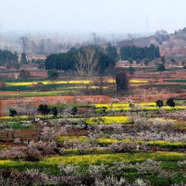 吕梁山生态休闲度假村