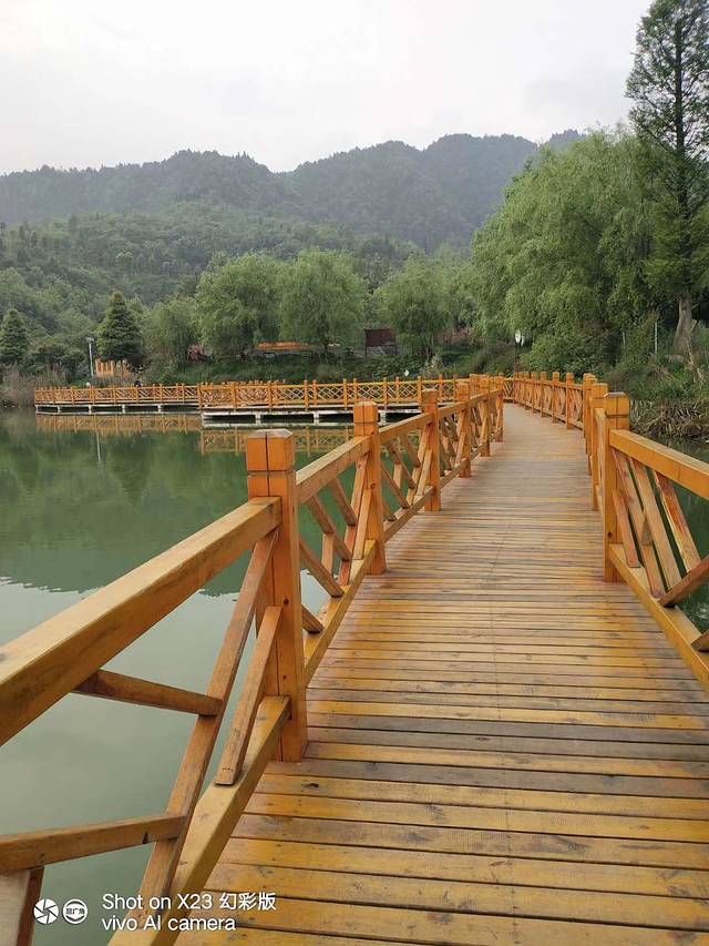 习水国家森林公园