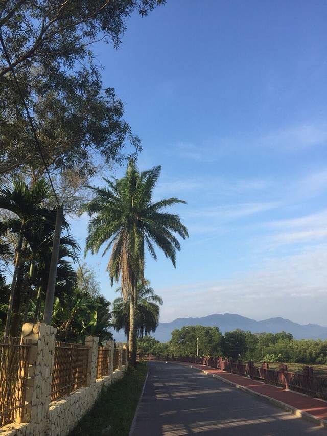 海南省国营白沙农场