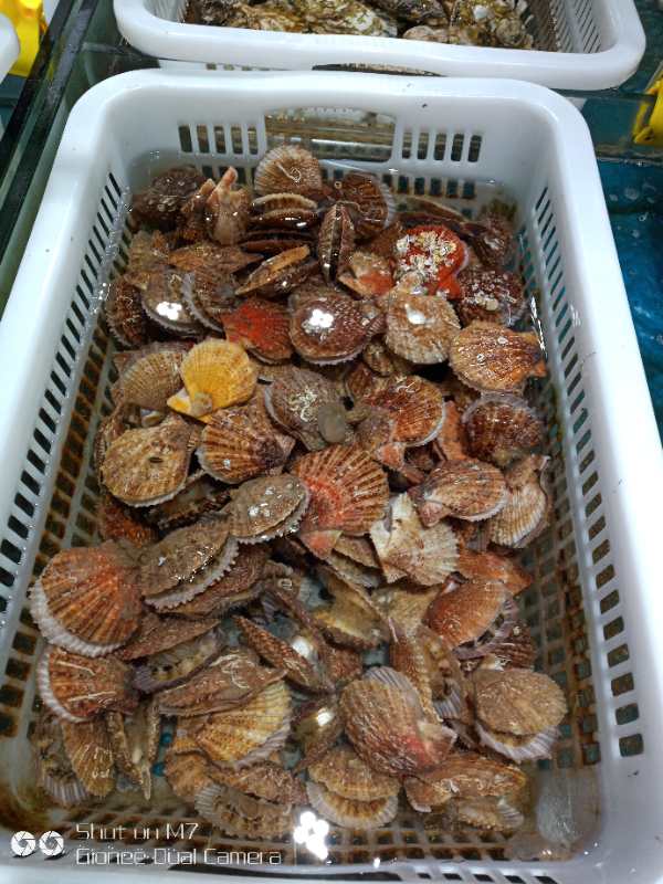 九层海鲜塔(奥帆中心店)