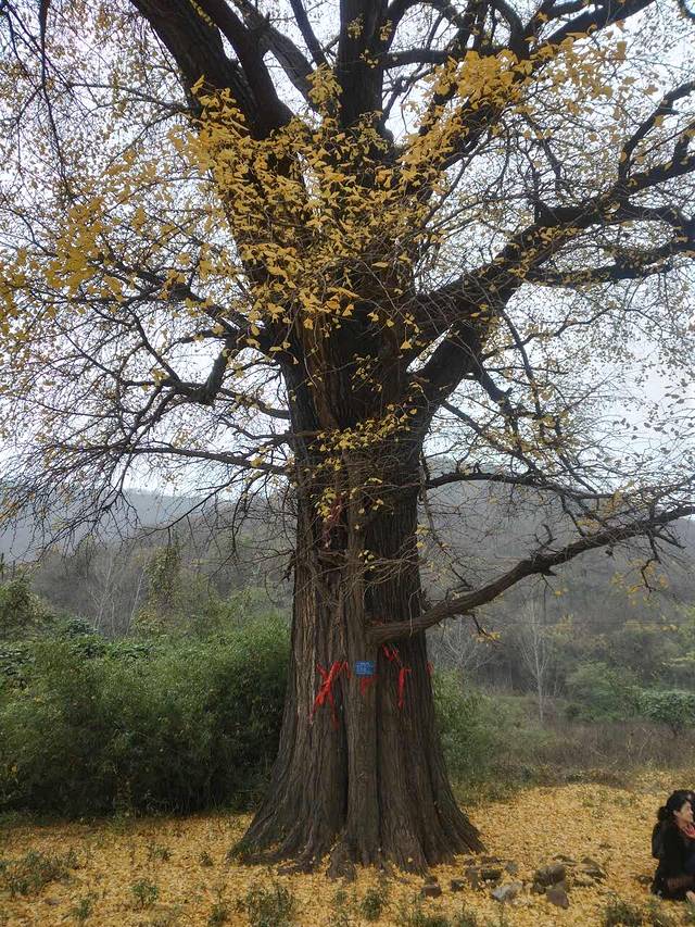 梁记粥铺(宜城店)