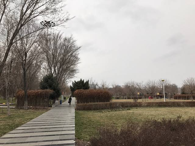 石河子市政广场