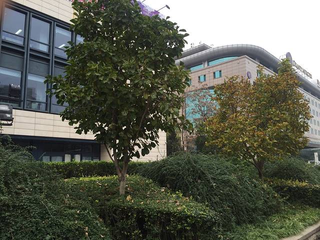 北京市东城区文化馆