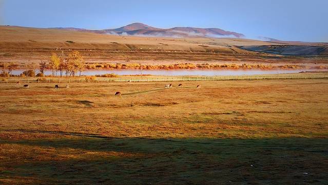 室韦临江界河风景区