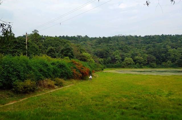 长坡岭国家森林公园