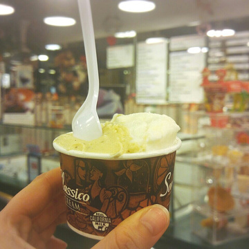 Gelato Classico Italian Ice Cream