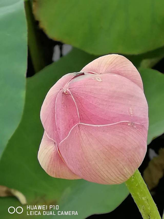 柳壕河湿地公园