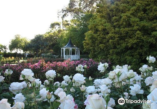 Dugald MacKenzie Rose Gardens旅游景点图片