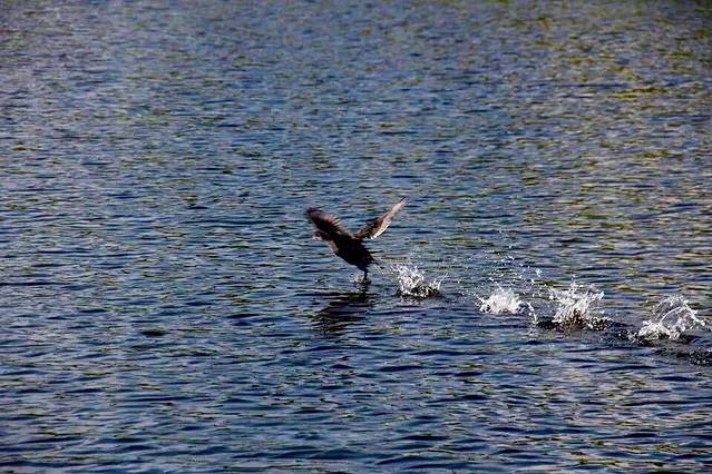 黑龙江富锦国家湿地公园