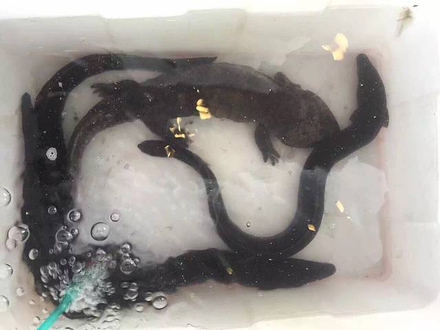 龙湾区蓝田渔港