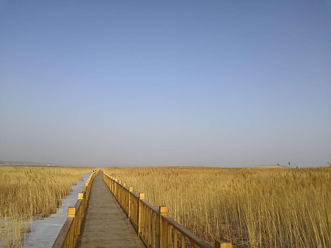 富裕县乌裕尔河湿地公园旅游景点图片