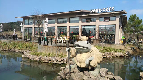 池塘咖啡厅