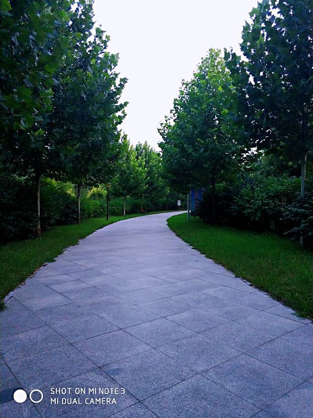 石佛寺公园