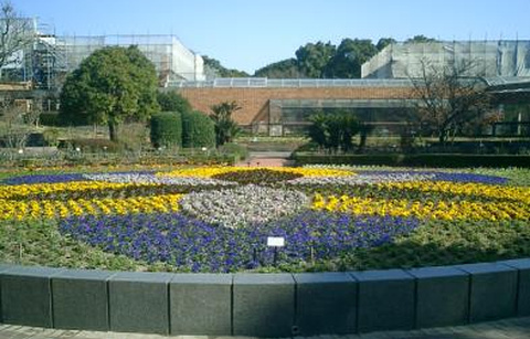 福冈市植物园的图片