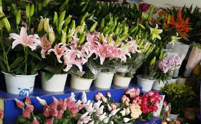 花花世界(神田路店)