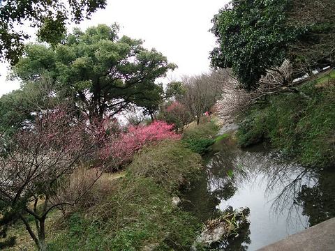 杭州西湖风景名胜区-俞曲园墓(含右台仙馆)