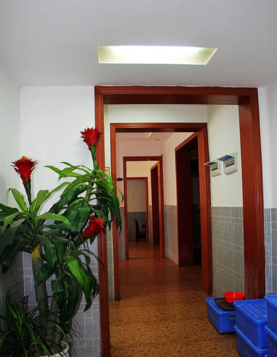 唐大厨金奖醋血鸭(人人乐店)