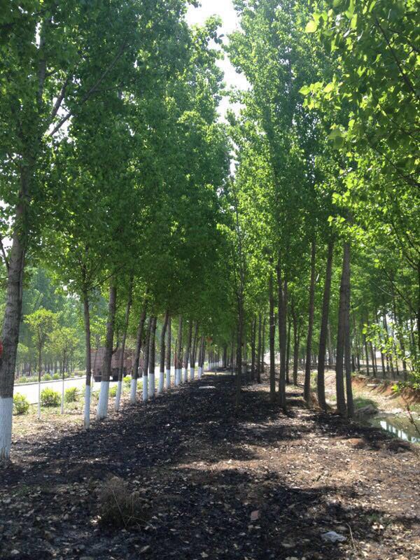 临沂糁馆(石鼓桥店)