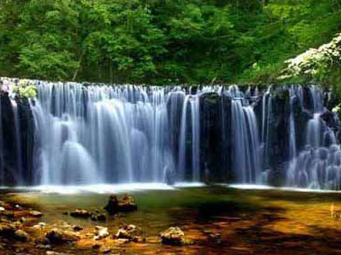 国家吊水壶森林公园旅游景点图片