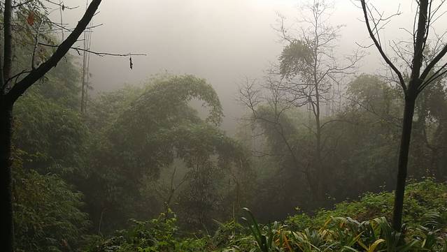 重庆抗战遗址博物馆-防空洞