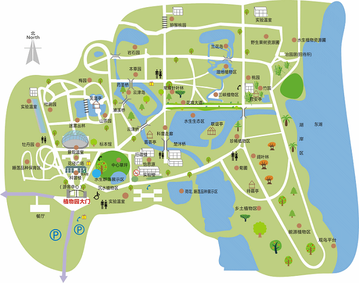 植物园地图 手绘图片