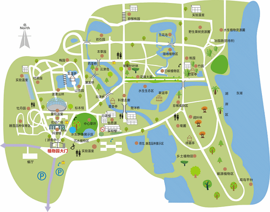 武汉植物园旅游导图