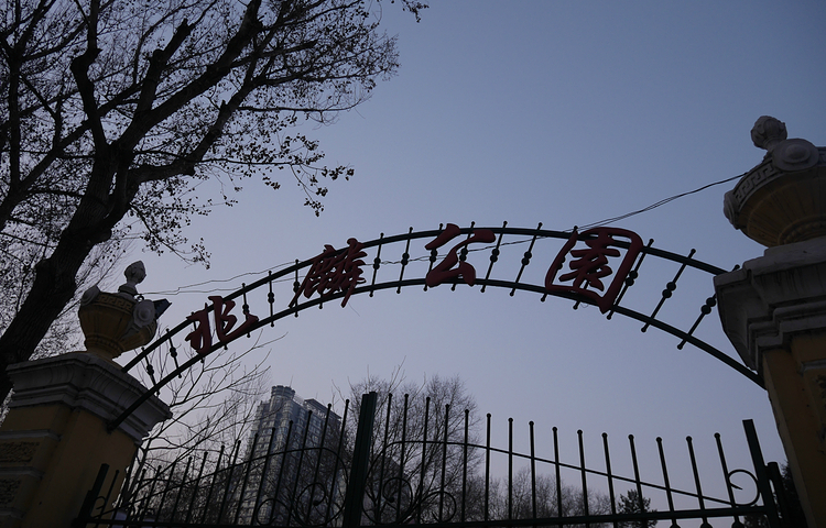 兆麟公园冰灯艺术游园会