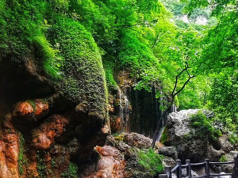 云台山公园旅游景点图片