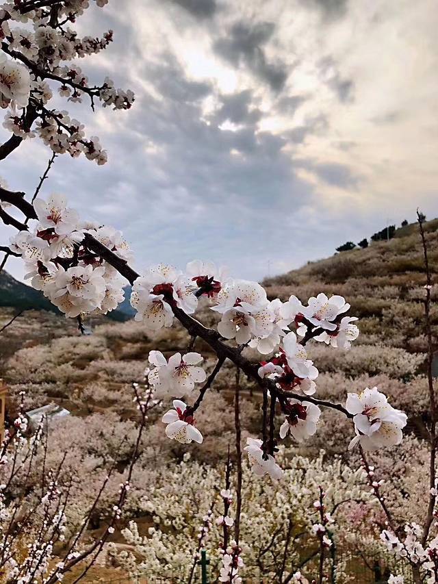 花花浪森林公园