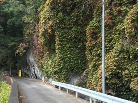 小半钟乳铜旅游景点图片