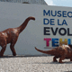 Museo de Mineralogia Dr. Miguel Romero Sanchez