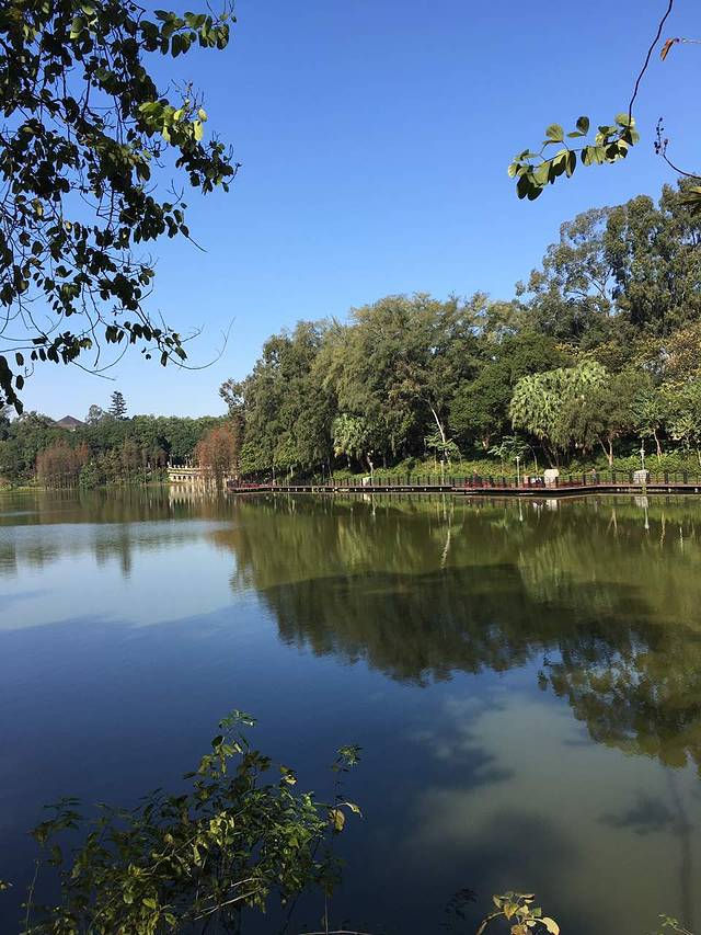 畔山酒店中餐厅