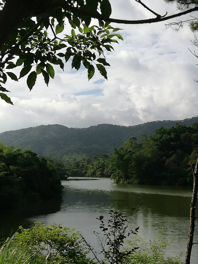 东龙森林公园