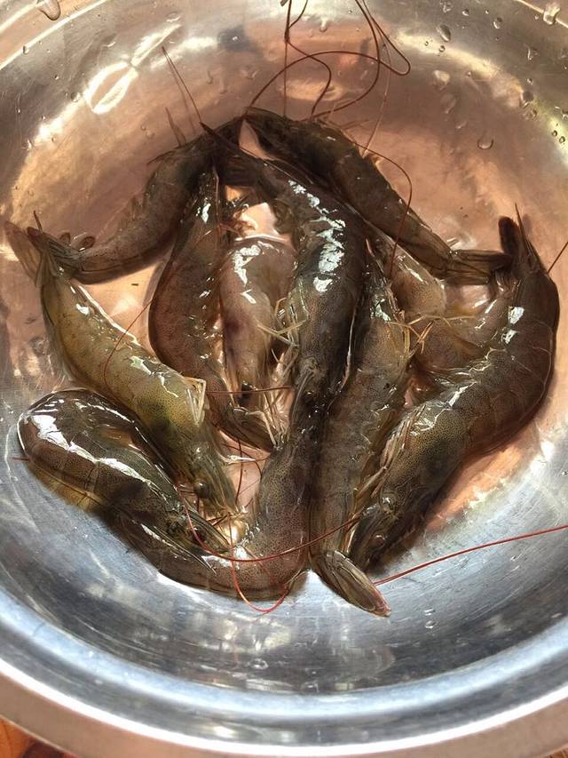 潭门港海鲜大排档