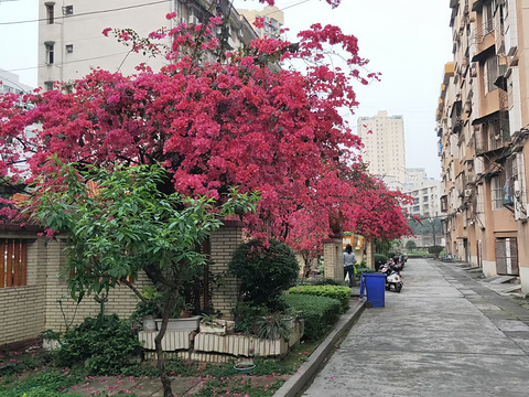 广西财经学院北校区图片