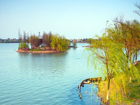大淀湖旅游景点图片