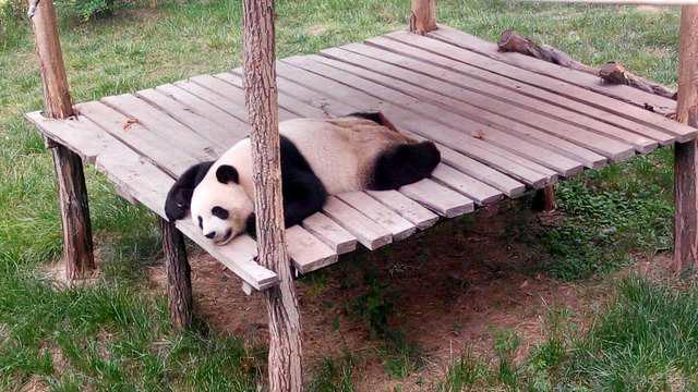 如月湖湿地公园